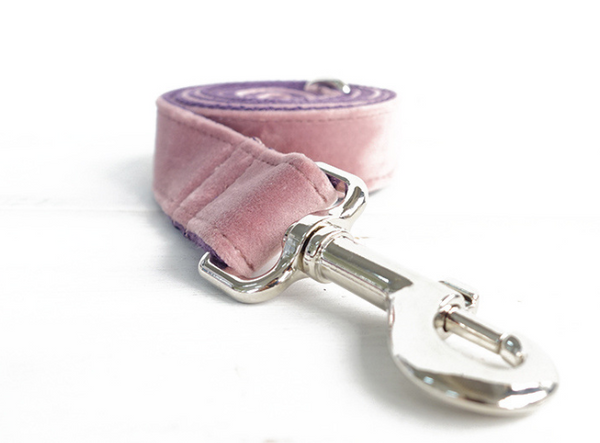 Baby Pink Velvet Collar and Leash Set