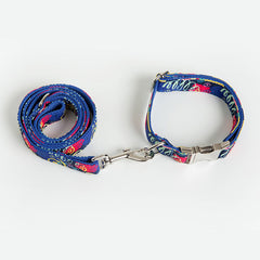 Graffiti Collar and Leash Set