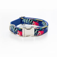 Graffiti Collar and Leash Set